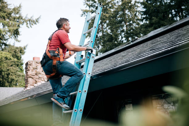 Best Roof Maintenance and Cleaning  in Kellyville, OK